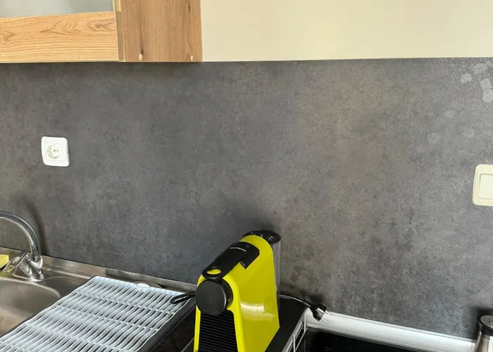 студио петя