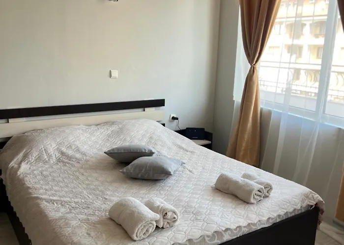 студио петя